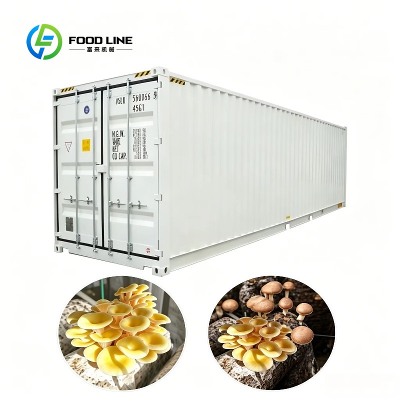 Urban Farming Hydroponic System - Hydroponische Containerfarm mit automatischem Bewässerungssystem für