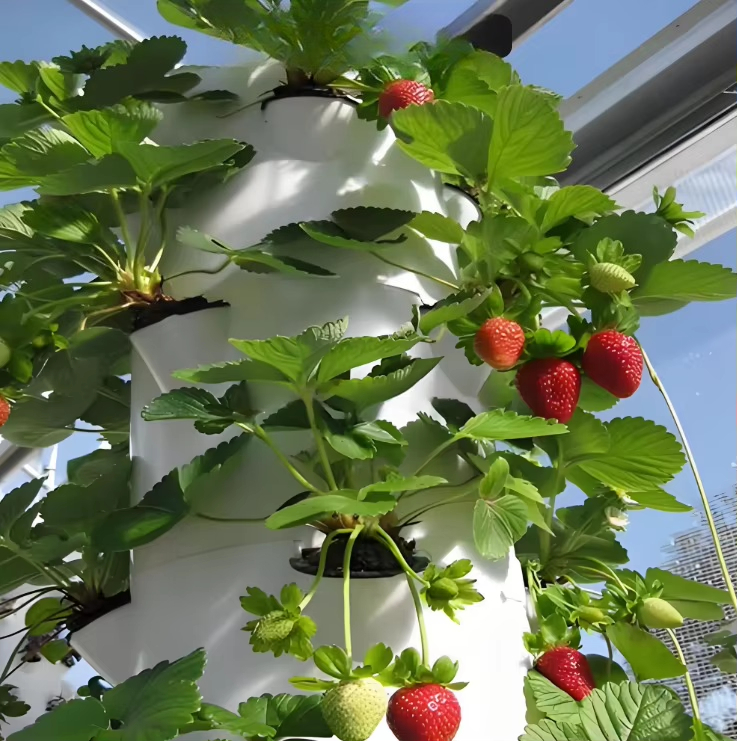 Modulares Hydroponik-Wachstums – Urban Farming Hydroponic System Bewertung und Preis