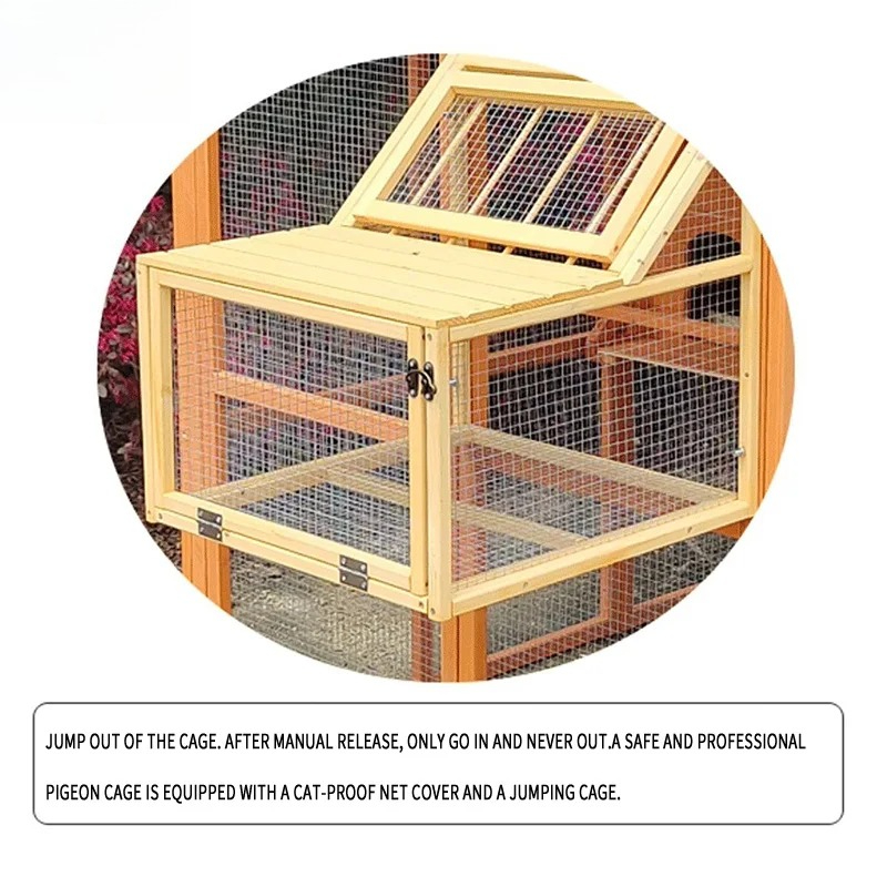 Neues Design Großer Regenfeste – Urban Farming Gardening Bewertung und Preis