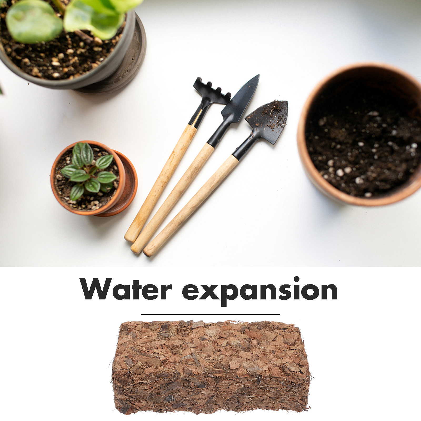 Sphagnum-Kokosnussdünger-Wachs – Coco Coir Block Bewertung und Preis