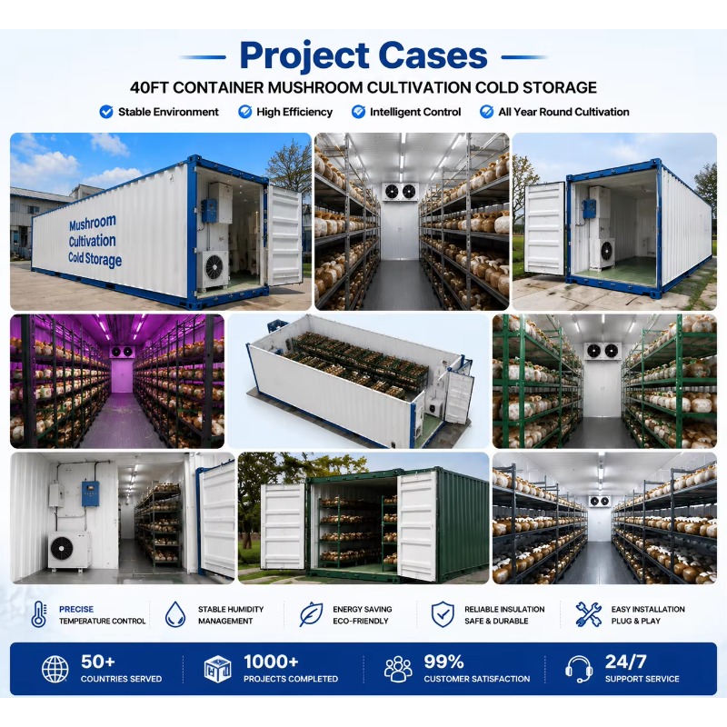 Hydroponische Containerfarm mi – Urban Farming Hydroponic System Bewertung und Preis