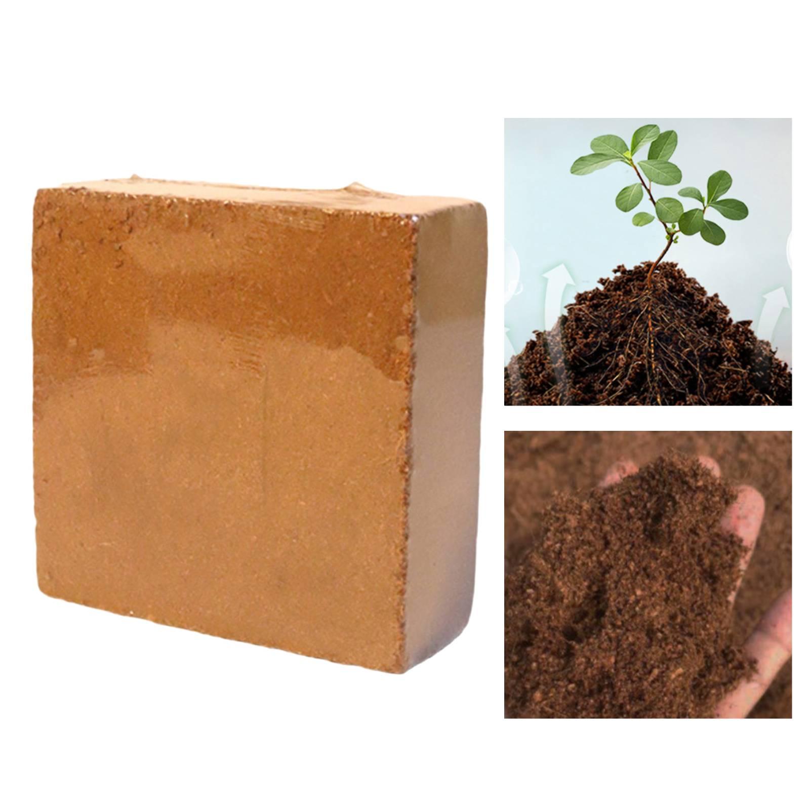 Feuchtigkeitsspeichernder Koko – Coco Coir Block Bewertung und Preis