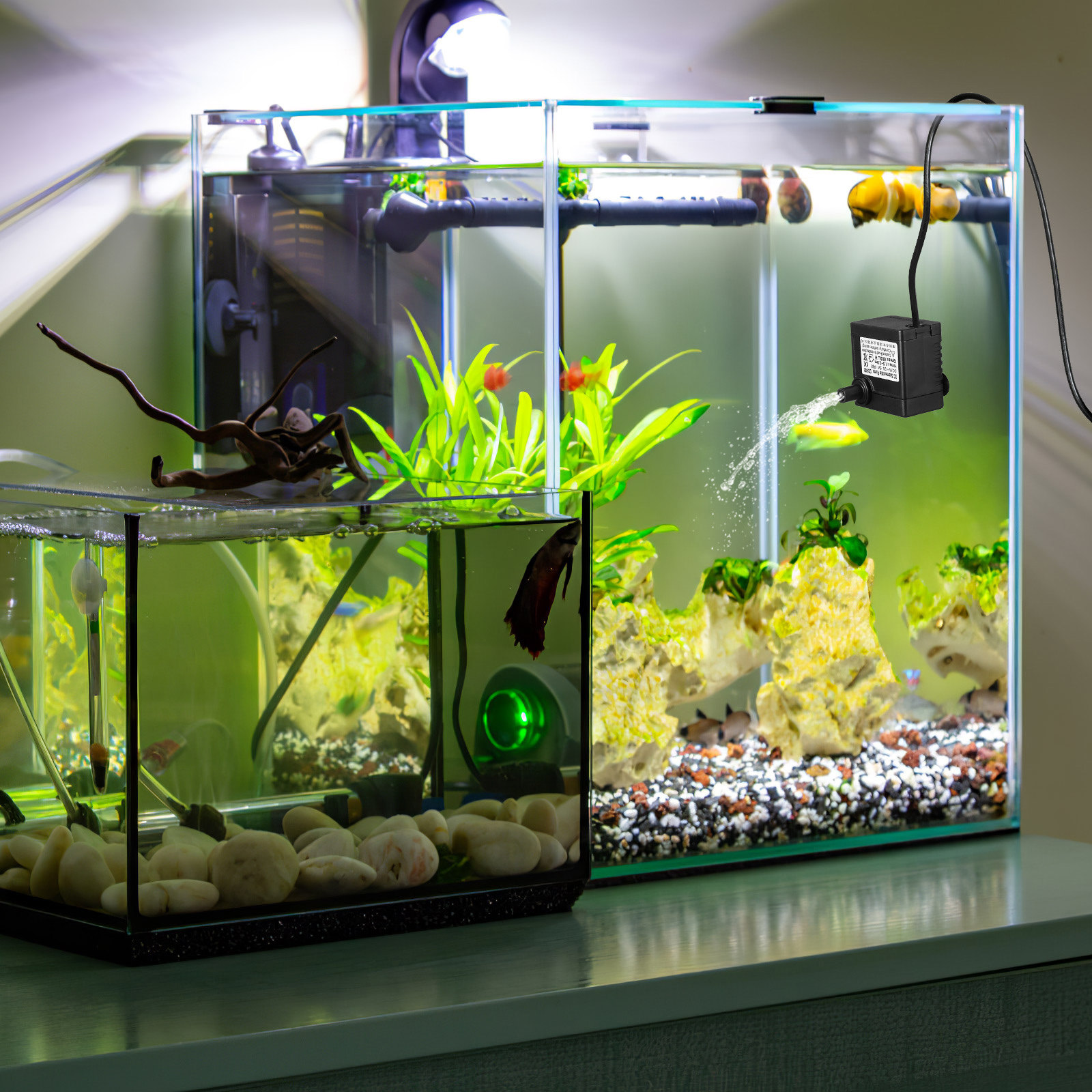 Wasserpumpe, winzige Tauchpump – Water Pump Submersible Mini Bewertung und Preis